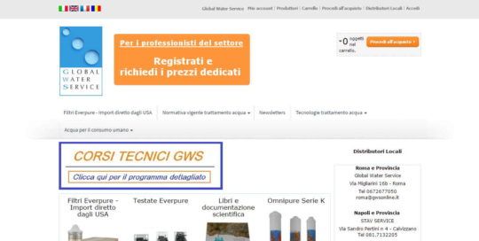 gwsonline homepage